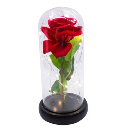 Luminaria de Vidro Com Rosa 5V